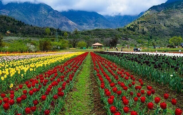 05 NIGHT 06 DAYS VALE OF KASHMIR